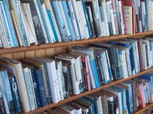 Bookshelves, Cuttyhunk Island cottage, 2015