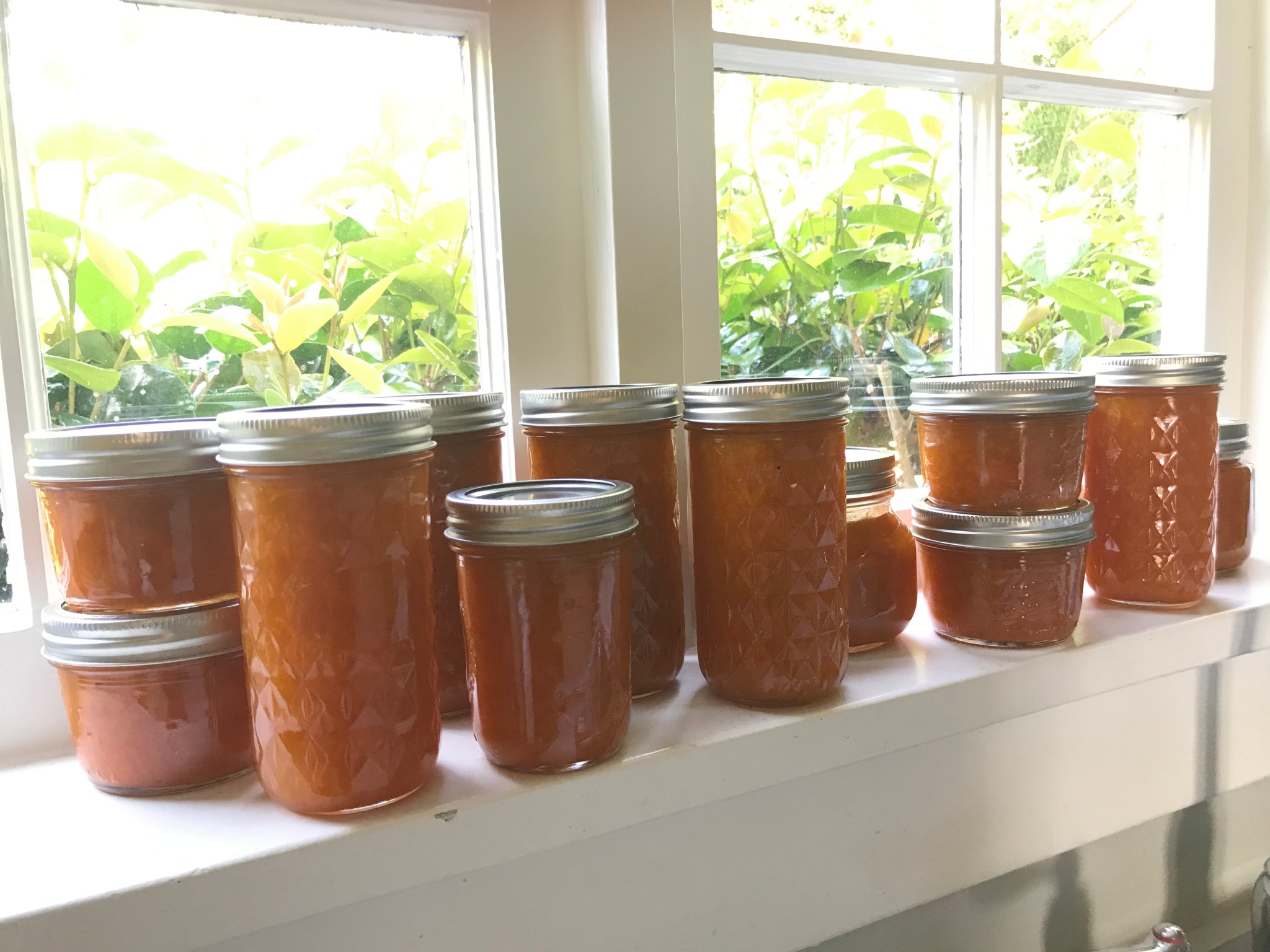 CED53AC8-CDAC-47A9-9968-437FCD9AA33B